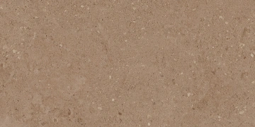 Керамогранит NP03 30,6x60,9x8 Непол. (Керамический гранит)_11