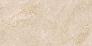 Керамогранит EXM301 60x120x9 Непол.Рект. (Керамический гранит)_2