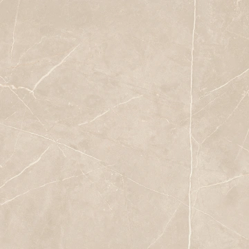Керамогранит NL01 60x60x10 Непол.Рект. (Керамический гранит)_5